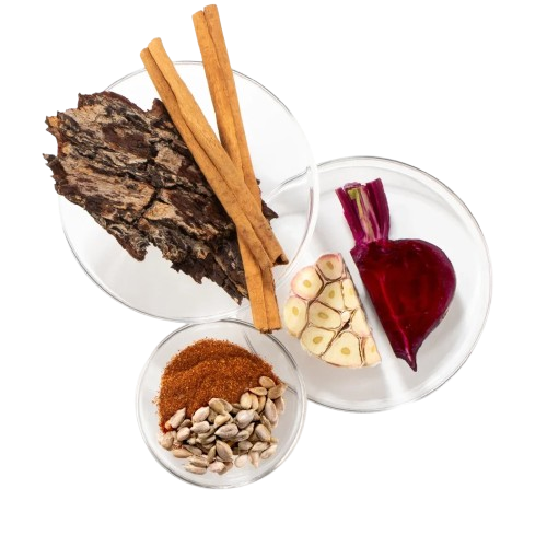 nitric-oxide-optimization